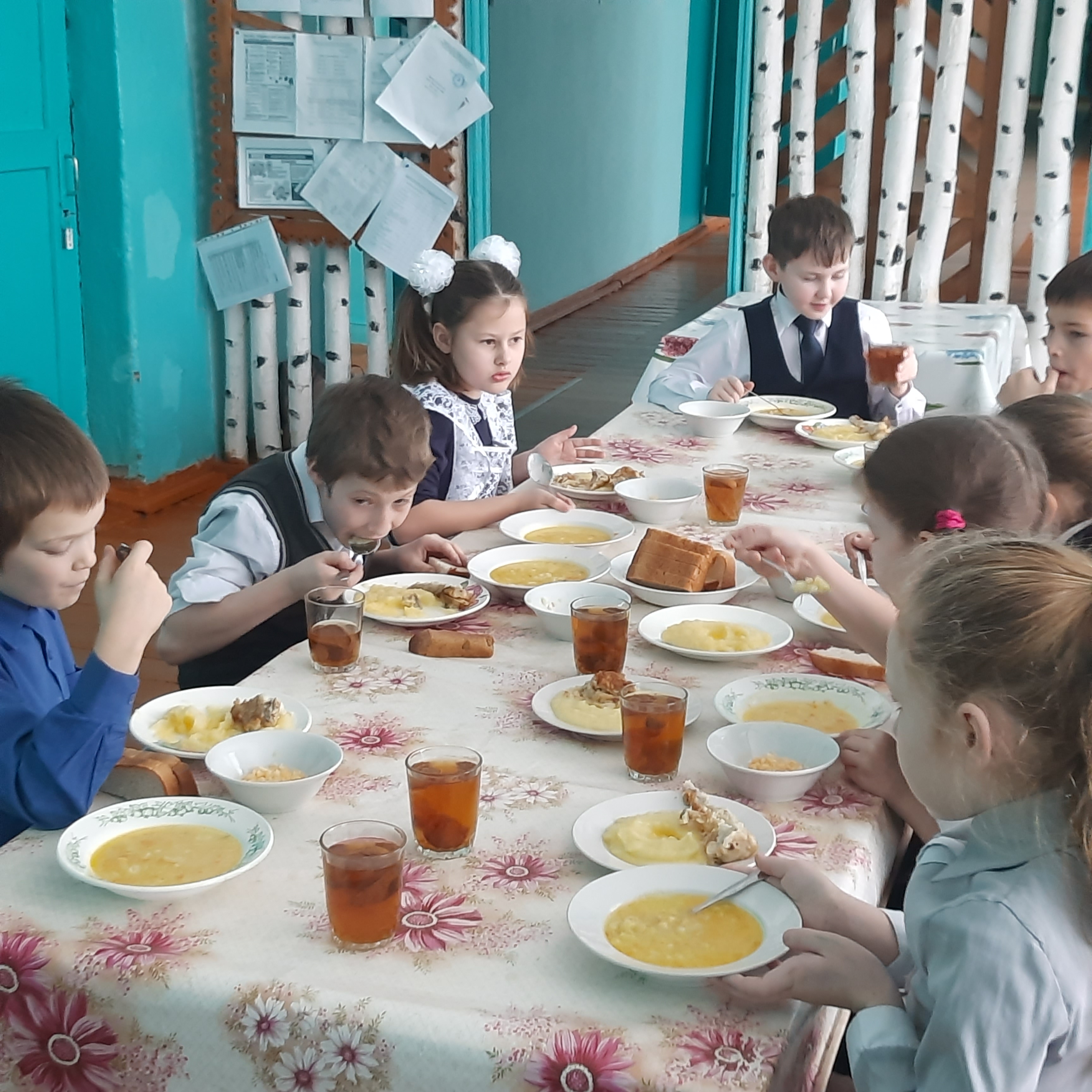 Родительский контроль за организацией горячего питания.