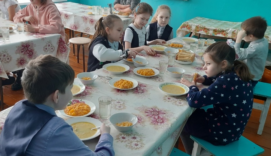 Родительский контроль за горячем питанием.